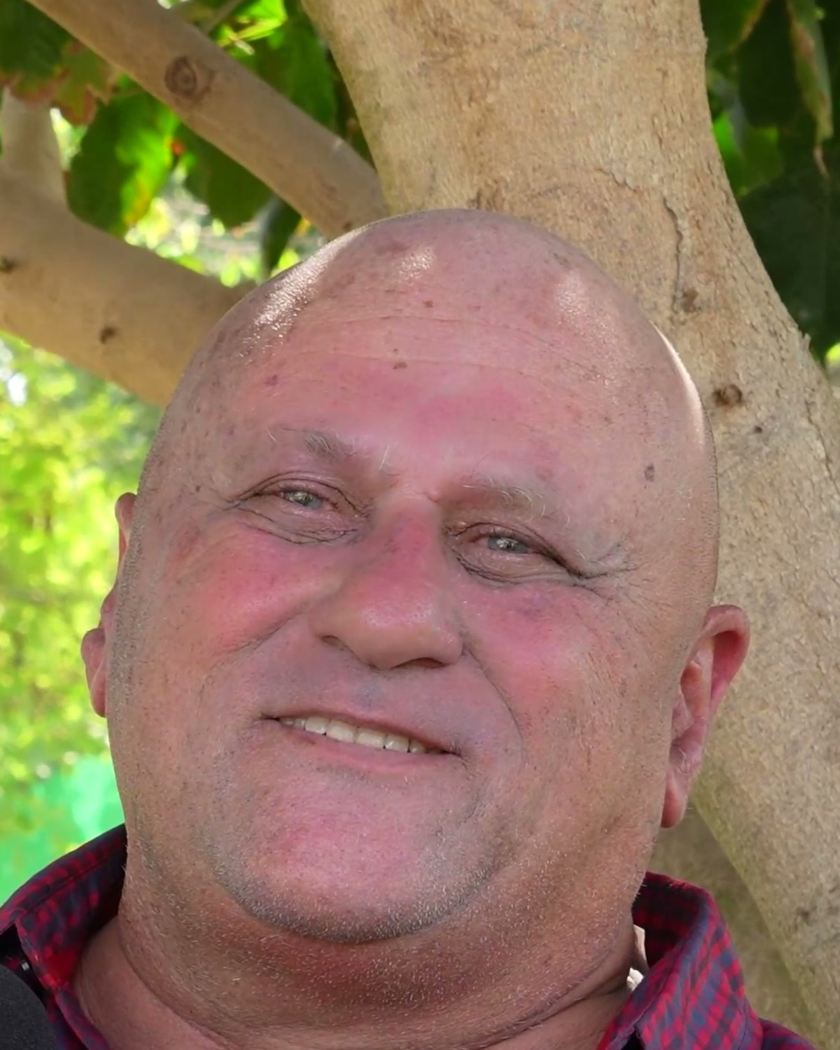 ניצן נבו, פורטרט
